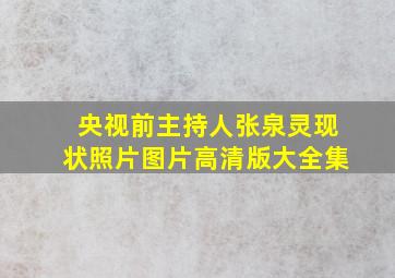 央视前主持人张泉灵现状照片图片高清版大全集