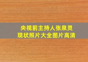 央视前主持人张泉灵现状照片大全图片高清