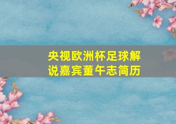 央视欧洲杯足球解说嘉宾董午志简历