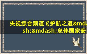 央视综合频道《护航之道——总体国家安全观纵横》直播