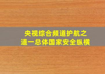 央视综合频道护航之道一总体国家安全纵横