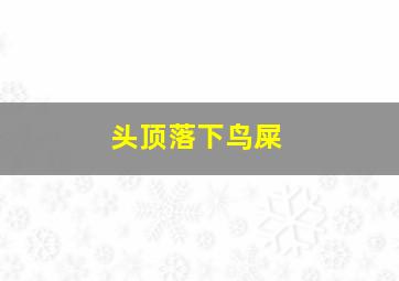 头顶落下鸟屎