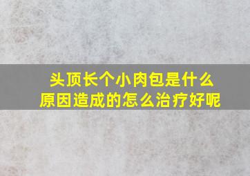 头顶长个小肉包是什么原因造成的怎么治疗好呢