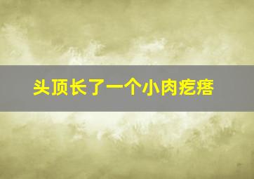 头顶长了一个小肉疙瘩