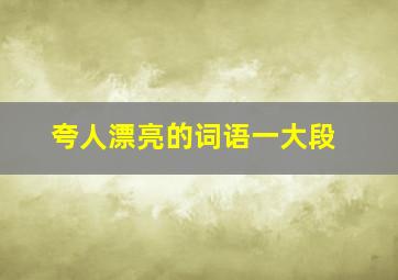 夸人漂亮的词语一大段