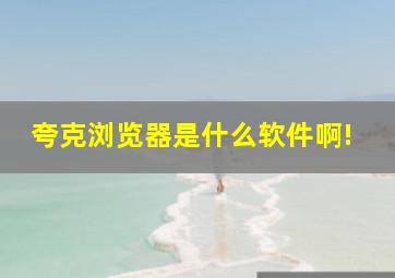 夸克浏览器是什么软件啊!