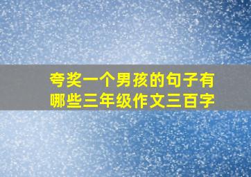 夸奖一个男孩的句子有哪些三年级作文三百字