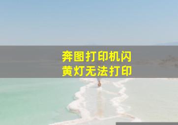 奔图打印机闪黄灯无法打印