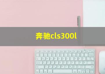 奔驰cls300l