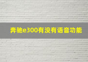 奔驰e300有没有语音功能