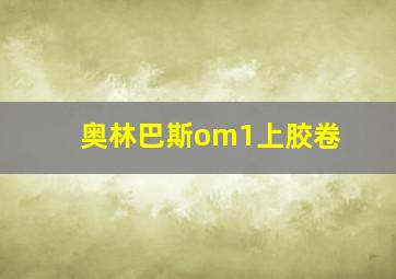 奥林巴斯om1上胶卷