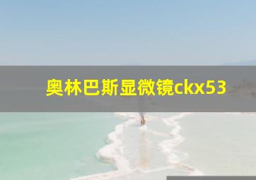 奥林巴斯显微镜ckx53