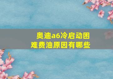 奥迪a6冷启动困难费油原因有哪些