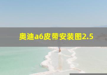 奥迪a6皮带安装图2.5