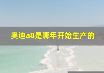 奥迪a8是哪年开始生产的