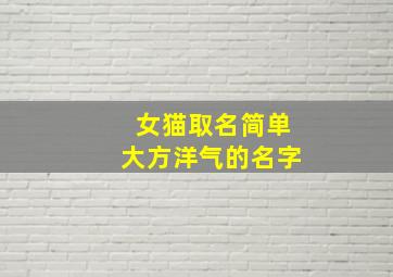 女猫取名简单大方洋气的名字