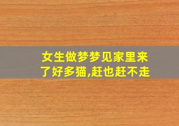 女生做梦梦见家里来了好多猫,赶也赶不走