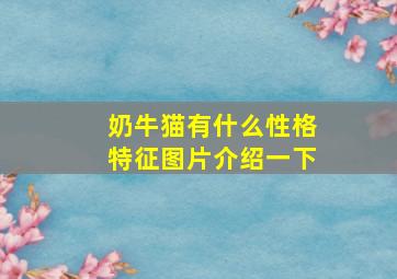 奶牛猫有什么性格特征图片介绍一下