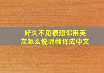 好久不见很想你用英文怎么说呢翻译成中文