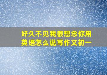 好久不见我很想念你用英语怎么说写作文初一