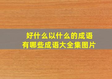 好什么以什么的成语有哪些成语大全集图片