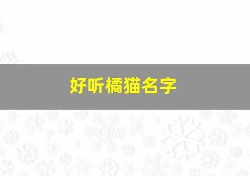 好听橘猫名字