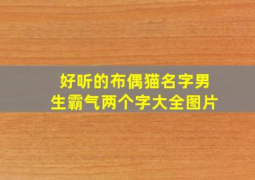 好听的布偶猫名字男生霸气两个字大全图片