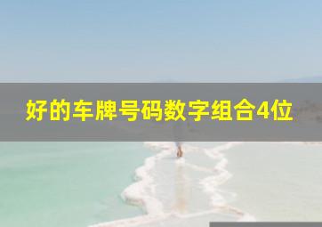 好的车牌号码数字组合4位