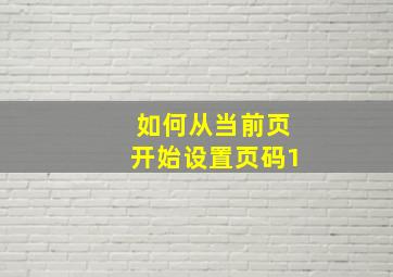 如何从当前页开始设置页码1