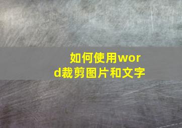 如何使用word裁剪图片和文字