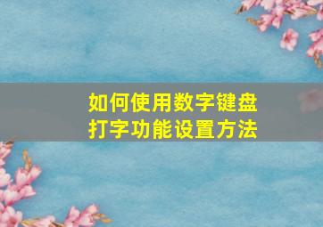 如何使用数字键盘打字功能设置方法