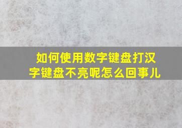 如何使用数字键盘打汉字键盘不亮呢怎么回事儿