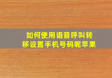 如何使用语音呼叫转移设置手机号码呢苹果