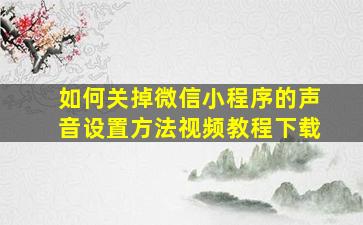 如何关掉微信小程序的声音设置方法视频教程下载