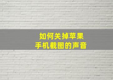 如何关掉苹果手机截图的声音