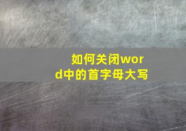 如何关闭word中的首字母大写