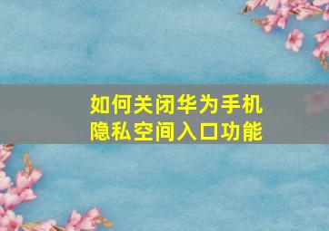 如何关闭华为手机隐私空间入口功能