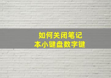 如何关闭笔记本小键盘数字键