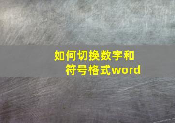 如何切换数字和符号格式word