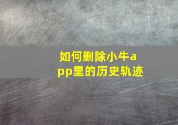 如何删除小牛app里的历史轨迹