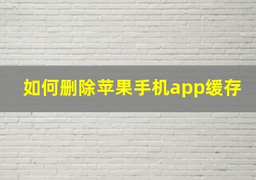 如何删除苹果手机app缓存