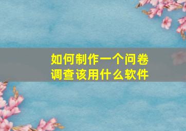 如何制作一个问卷调查该用什么软件