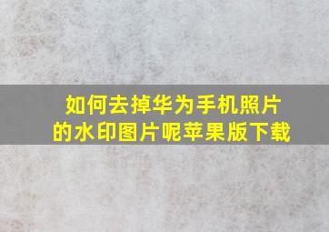 如何去掉华为手机照片的水印图片呢苹果版下载