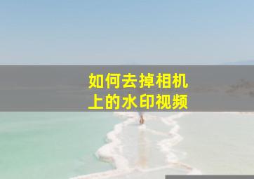 如何去掉相机上的水印视频