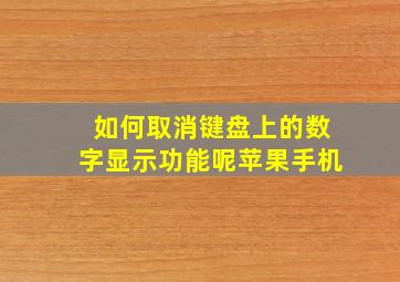 如何取消键盘上的数字显示功能呢苹果手机