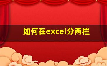 如何在excel分两栏