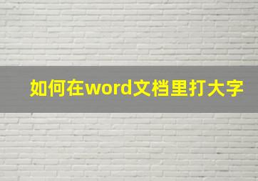 如何在word文档里打大字