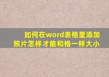 如何在word表格里添加照片怎样才能和格一样大小