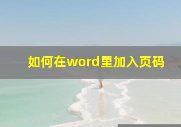 如何在word里加入页码