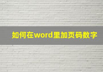 如何在word里加页码数字